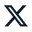 Social Media Icon 2
